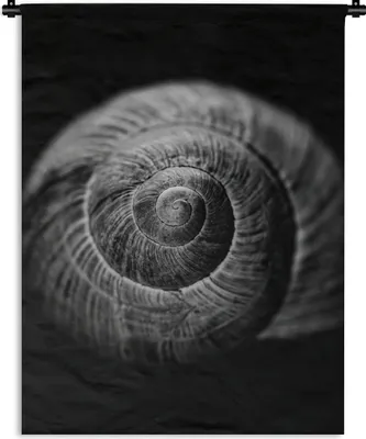Produktbild von MuchoWow® Wandteppich Wandbehang Schnecke - Tiere - Schwarz - Weiß - Schneckenhaus 120x160 cm Tapisserie Dekoration Wandtuch - Wohnzimmer - Moderne