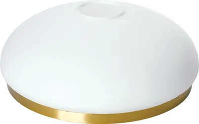 Image de Verre de rechange avec anneau en laiton, Ø 195mm ouverture pour douille E27 (42mm) Verre de lampe 19.5x8cm opal blanc blanc mat