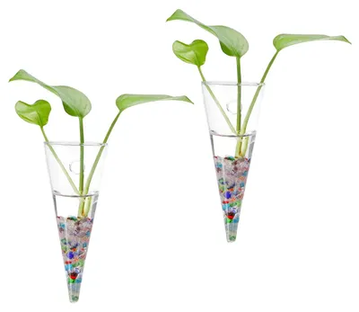 Produktbild von Wand Pflanzenhalter Set von 2 für Hydroponik und Innendekoration