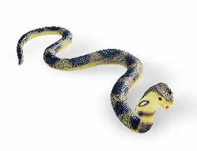 Image de Cobra