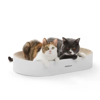 Produktbild von Kratzpappe Zen Paw Series Braun