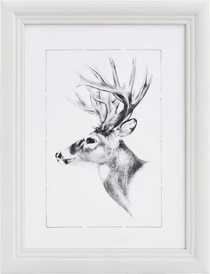 Produktbild von Bilderrahmen Fotogalerie, Holz Rahmen, Glasscheibe, Artos Stil Farbe: Weiß Größe: A4 21x29,7cm