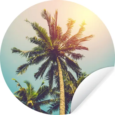 Produktbild von MuchoWow® Runde Wandtattoo - Wandsticker Tapete Aufkleber Palme - Sommer - Tropisch - Sonne Ø 50 cm Selbstklebend und Repositionierbar - Wandaufkleber - Kreis - Wand Kreis - Wand Bild - Foto Tapete - Selbstklebende - Wohnzimmerdekoration - Wand Dekoration - Kinderzimmer