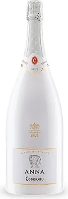 Image de Anna de Codorníu Blanc de Blancs Magnum vin mousseux Espagne vin mousseux 150.00 cl 11.5 %