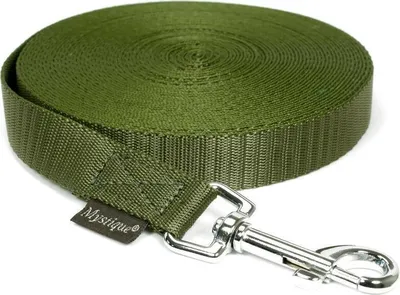 Produktbild von Mystique® Nylon Schleppleine 20mm khaki 5m mit HS