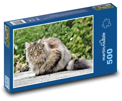 Produktbild von Puzzle 500 Majestätische flauschige Katze - martinpuzzle