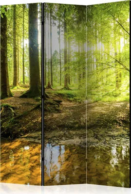 Produktbild von 3-teiliger Doppelseitiger Vlies Paravent - Forest Lake 135x172 cm Landschaften c-B-0183-z-b