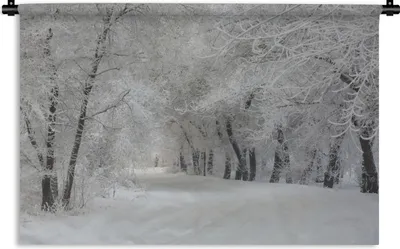 Produktbild von MuchoWow® Wandteppich Wandbehang Bäume - Schnee - Winter 90x60 cm Tapisserie Dekoration Wandtuch - Wandskulpturen - Bildteppich