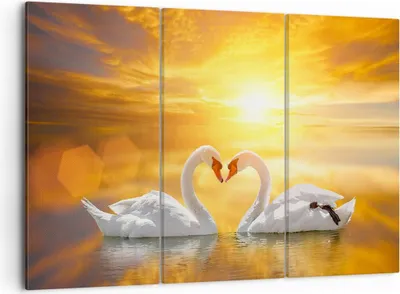 Produktbild von Bild auf Leinwand - Leinwandbild - Schwan Wasser Paar - 105x70cm - Wand Bild - Wanddeko - Leinwanddruck - Bilder - Kunstdruck - Wanddekoration - Leinwand bilder - Wandkunst - CE105x70-3872