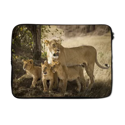 Produktbild von MuchoWow® Laptop Hülle 13 Zoll Löwen in der Savanne Laptoptasche - Laptophülle - Sleeve - Rundumschutz