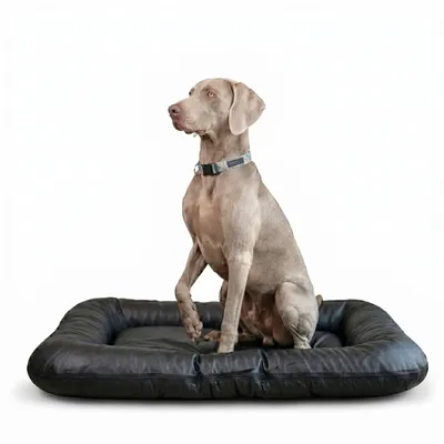 Produktbild von 4L Textil ELLA Hundematratze aus Kunstleder, wasserabweisend, abwischbar, Bezug abnehmbar, für sehr große Hunde, 130x110 cm, Schwarz