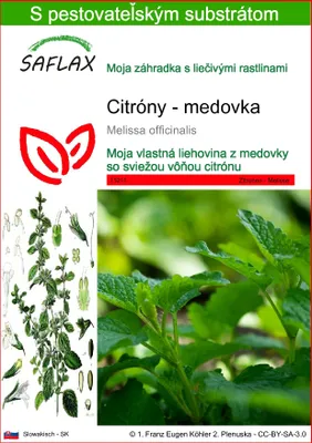 Obrázok produktu pre SAFLAX - Citróny - medovka - Melissa officinalis - 150 Semená - S pestovateľským substrátom bez klíčkov