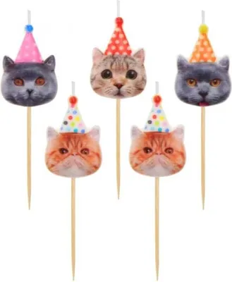 Immagine prodotto di Animali Party Candela torta gatto, set di 5 candele