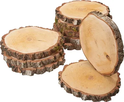 Produktbild von Grosse Baumscheiben 10 Stk. Dekoholz Holzscheiben Holzplatten 30 cm
