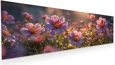 Produktbild von Glasbild 120x40cm in XXL für Wohnzimmer, Schlafzimmer Motiv Blumenwiesebei Sonnenaufgang