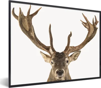 Produktbild von MuchoWow® Gerahmtes Poster Hirsche - Tiere - Geweih - Kinder - Jungen 80x60 cm - Poster mit Schwarzem Bilderrahmen Wandposter Rahmen Foto Bilder - Schwarzem - Mit Gestell