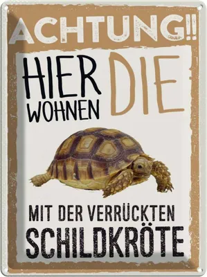 Produktbild von vianmo Blechschild 40x30 cm Tiere Achtung hier kröte Tier Haustier