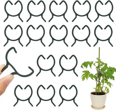 Image de Clips pour plantes - 100 pièces - Clips de fixation pour vignes destinés à soutenir les tiges des plantes (M)