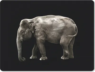 Produktbild von MuchoWow® Mauspad Mousepad Elefant - Wilde Tiere - Schwarz 23x19 cm - Mousepads - Maus Mat - Pad - Mausunterlage - Schreibtischunterlage - Mauspad