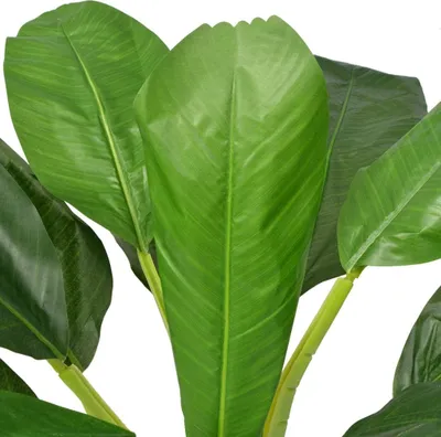 Produktbild von vidaXL Künstlicher Bananenbaum mit Topf 150 cm Grün