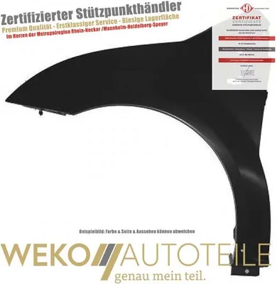 Image de Aile avant gauche DIEDERICHS 4000007 pour CITROËN