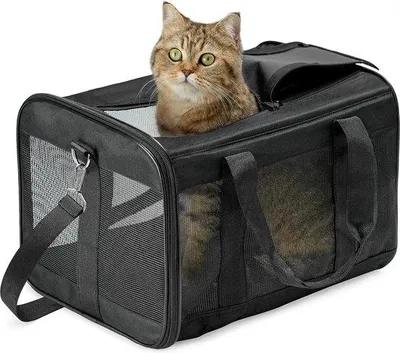 Produktbild von Famanu Hundetransporttasche - Tragetasche für Hunde und Katzen - Größe M - Schwarz - Faltbar