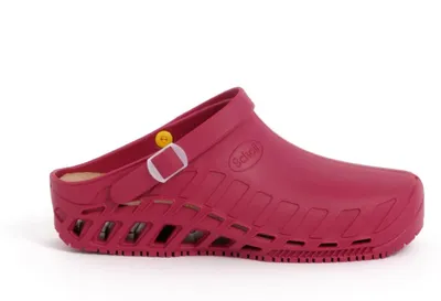 Produktbild von Scholl Clog Evo - Professionelle Sanitär-Clogs für Damen und Herren - Ultraleich