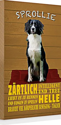 Produktbild von Holzschild Spruch 20x30cm Sprollie Hund zärtlich und treu