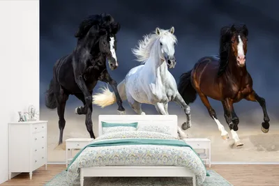 Produktbild von MuchoWow® Fototapete für Wohnzimmer oder Schlafzimmer Wandtapete Vinyl Motivtapete Pferde - Tiere - Sand - 450x300 cm - Gemusterte