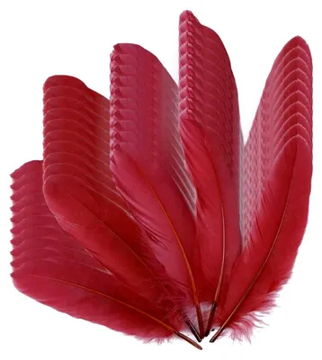 Produktbild von 50 Stück natürliche Gänsefedern in verschiedenen Farben für DIY - Hochzeitsdekorationen, Engelsflügel und Feenhandwerk