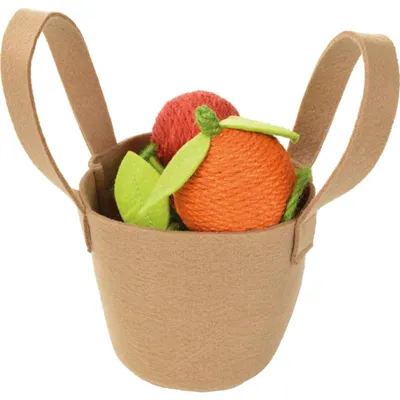 Image de Jouet AniOne qui mâchouille et tire panier de fruits