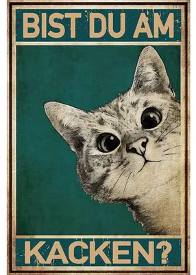 Katzenposter 'Bist du am kacken?' Toilet-Deko, 20x30 cm
