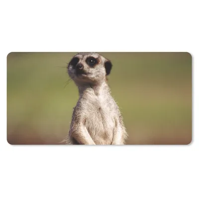 Produktbild von MuchoWow® Mauspad Mousepad Erdmännchen - Tier - Spiel 60x30 cm - Mousepads - Maus Mat - Pad - Mausunterlage - Nachhaltig