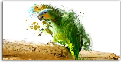 Produktbild von Coloray Acrylbild 140x70  Wandbild Acrylbilder Papagei auf dem Ast abstrakte Tier