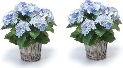 Produktbild von 2er Set künstliche Hortensien im Korb blau H. 45cm D. 20cm Emerald Topfpflanze