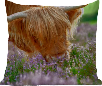Produktbild von MuchoWow® Outdoor Kissen - Schottische Hochlandrind - Gras - Heidekraut - Tiere - 40x40 cm - Wetterfest - Lounge Kissen - Kopfkissen - Interieur - Polster mit Bild