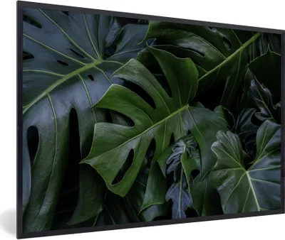 Produktbild von MuchoWow® Gerahmtes Poster Monstera mit dunklem Hintergrund 90x60 cm - Poster mit Schwarzem Bilderrahmen Wandposter Rahmen Foto Bilder - Fotorahmen - Foto-Plakat