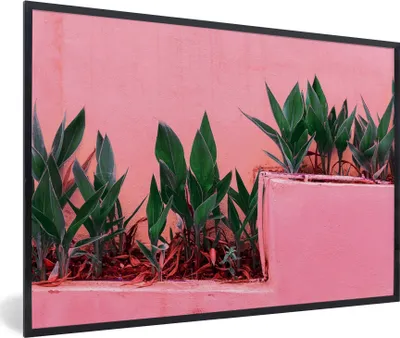Produktbild von MuchoWow® Gerahmtes Poster Pflanzen - Sommer - Farbe 90x60 cm - Poster mit Schwarzem Bilderrahmen Wandposter Rahmen Foto Bilder - Fotorahmen - Foto-Plakat