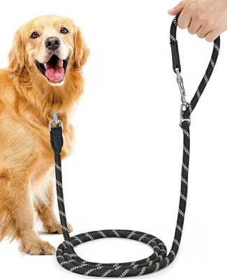 Produktbild von Verstelbare Hundeleine 3m Nylon reflektierend bis 200kg