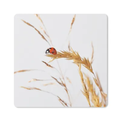 Produktbild von MuchoWow® Mauspad Mousepad Marienkäfer im Gras 20x20 cm - Mousepads - Maus Mat - Pad - Mausunterlage - Desk Mat - Bureauartikeln