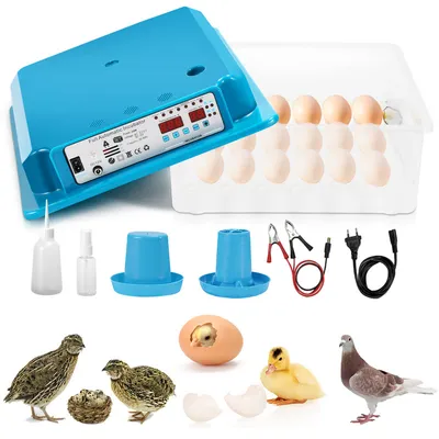 Image de TolleTour Incubateur à œufs avec écran LCD Incubateur pour reptiles Incubateur numérique Incubateur à plateau avec éclairage LED pour œufs 36 œufs Vert