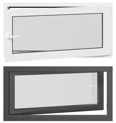 Image de vidaXL Fenêtre de cave RISOR 120 x 60 cm PVC et verre, anthracite