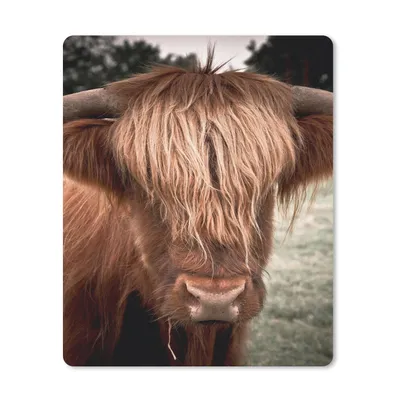 Produktbild von MuchoWow® Mauspad Mousepad Schottischer Highlander - Baum - Gras 30x40 cm - Mousepads - Maus Mat - Pad - Mausunterlage - Mausmatten