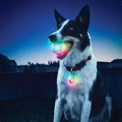 Immagine prodotto di Nite Ize Light Strips Ball-disk-o Bianco Bianco Taglia Unica