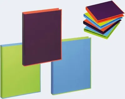 Produktbild von Pagna Ringbuch A4 Style up 2-Bügel-Mechanik+NH sortiert