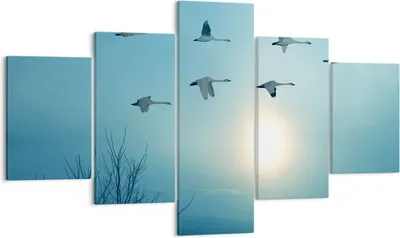 Produktbild von Bild auf Leinwand - Leinwandbild - Storch Vogel Natur - 125x70cm - Wand Bild - Wanddeko - Leinwanddruck - Bilder - Kunstdruck - Wanddekoration - Leinwand bilder - Wandkunst - EA125x70-3802