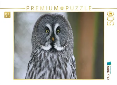Produktbild von CALVENDO Puzzle Bartkauz | 500 Teile Lege-Größe 48 × 36 cm Foto-Puzzle für Erwachsene
