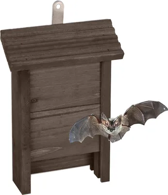 Produktbild von Relaxdays Fledermauskasten, Unterschlupf für Fledermäuse, HxBxT: 29 x 18 x 6 cm, Garten, Fledermaushotel, Holz, braun