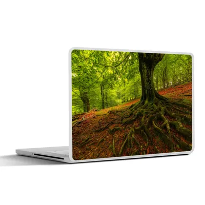 Produktbild von MuchoWow® Laptop Aufkleber Sticker Cover Baum - Wald - Herbstblätter 36.5x27.5 cm - Laptop-Sticker