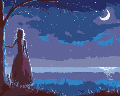 Immagine prodotto di Zuty - Dipingere con i numeri - PRINCIPESSA CHE GUARDA LA LUNA, 40x50 cm, senza cornice e senza tela